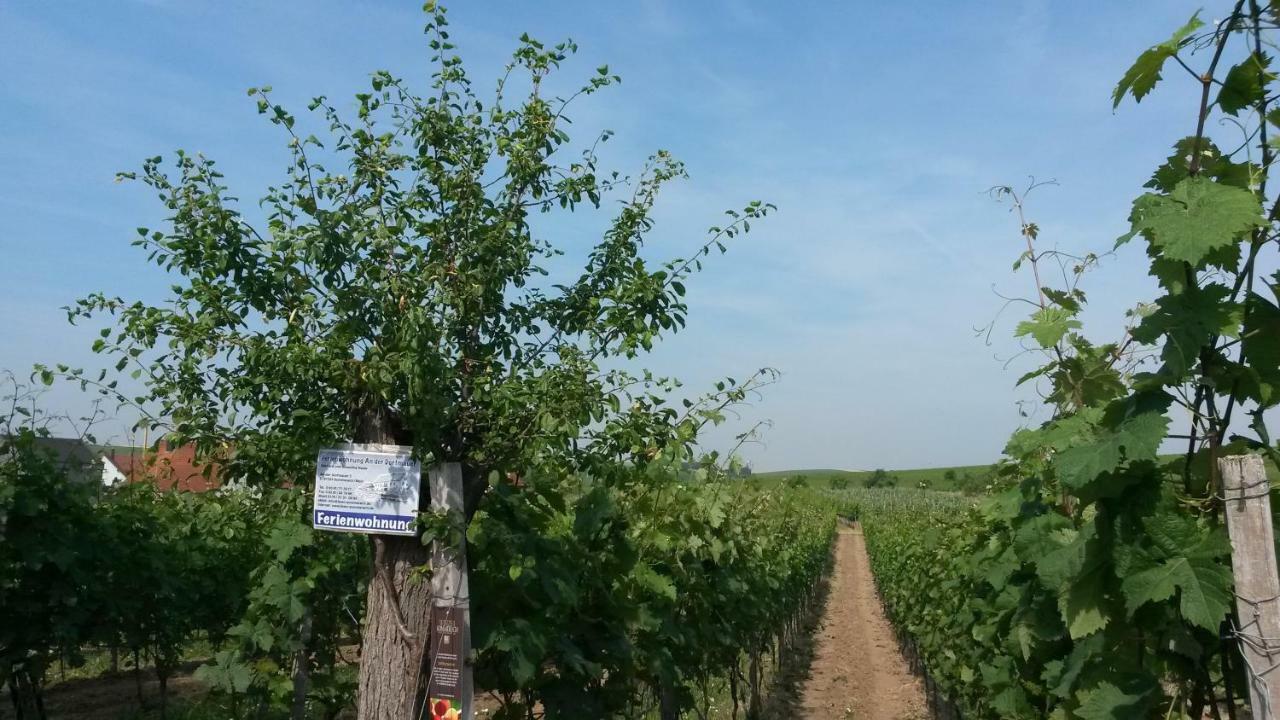 Ferienwohnung An Der Dorfmauer Sommerach Zewnętrze zdjęcie