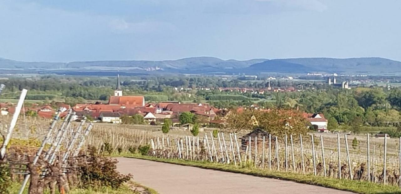 Ferienwohnung An Der Dorfmauer Sommerach Zewnętrze zdjęcie