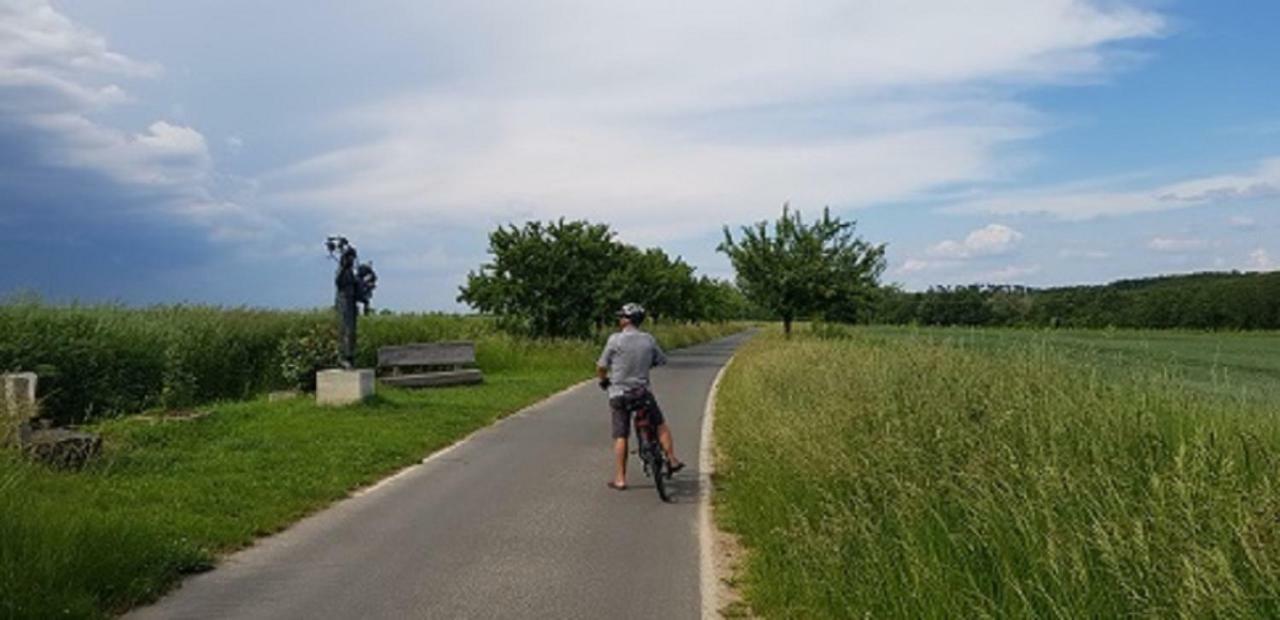 Ferienwohnung An Der Dorfmauer Sommerach Zewnętrze zdjęcie