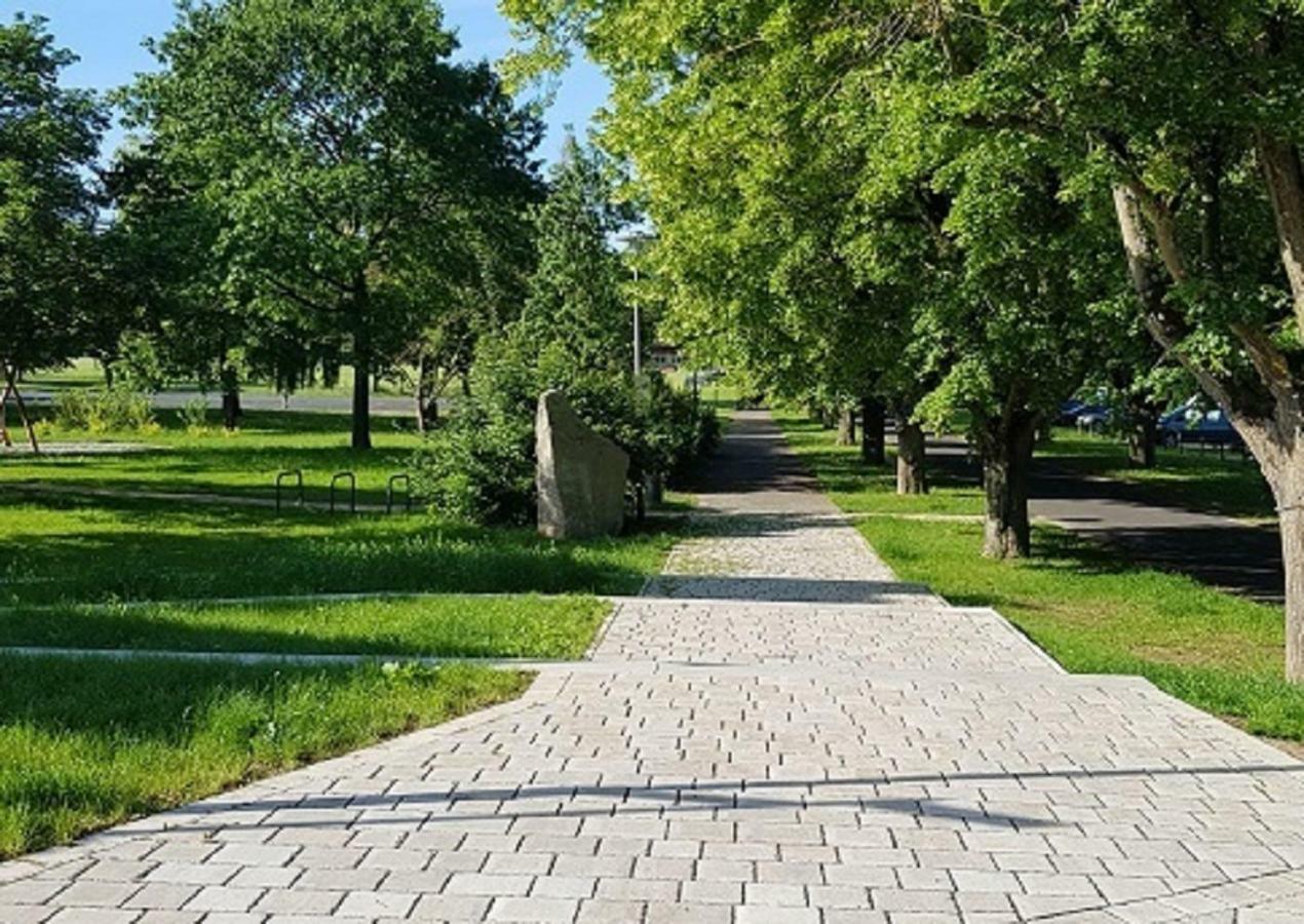 Ferienwohnung An Der Dorfmauer Sommerach Zewnętrze zdjęcie