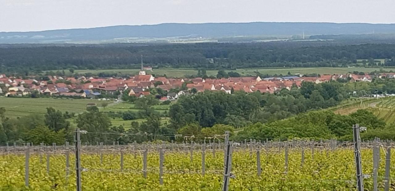 Ferienwohnung An Der Dorfmauer Sommerach Zewnętrze zdjęcie